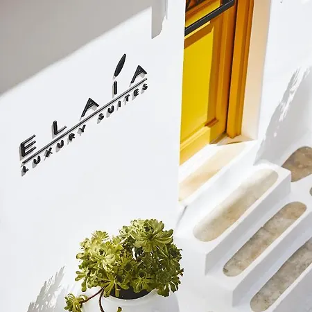 Elaia Luxury Mykonos Holiday home *